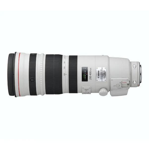Canon EF 200-400mm f4L IS USM + 1.4x Tele-converter - Image 2