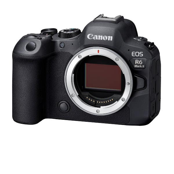 Canon EOS R6 Mark II w/RF 24-105mm STM Kit + Rf 50mm F1.8 STM* - Image 3