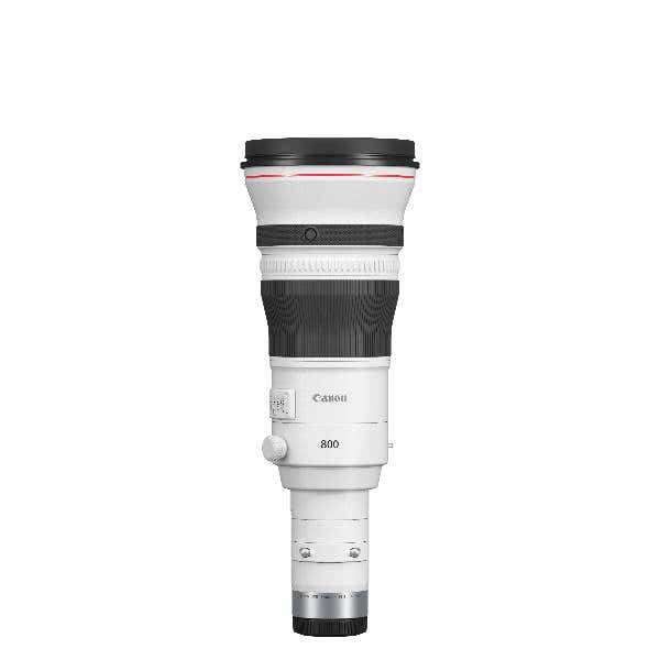 Canon RF 800mm F5.6 L IS USM - Image 2