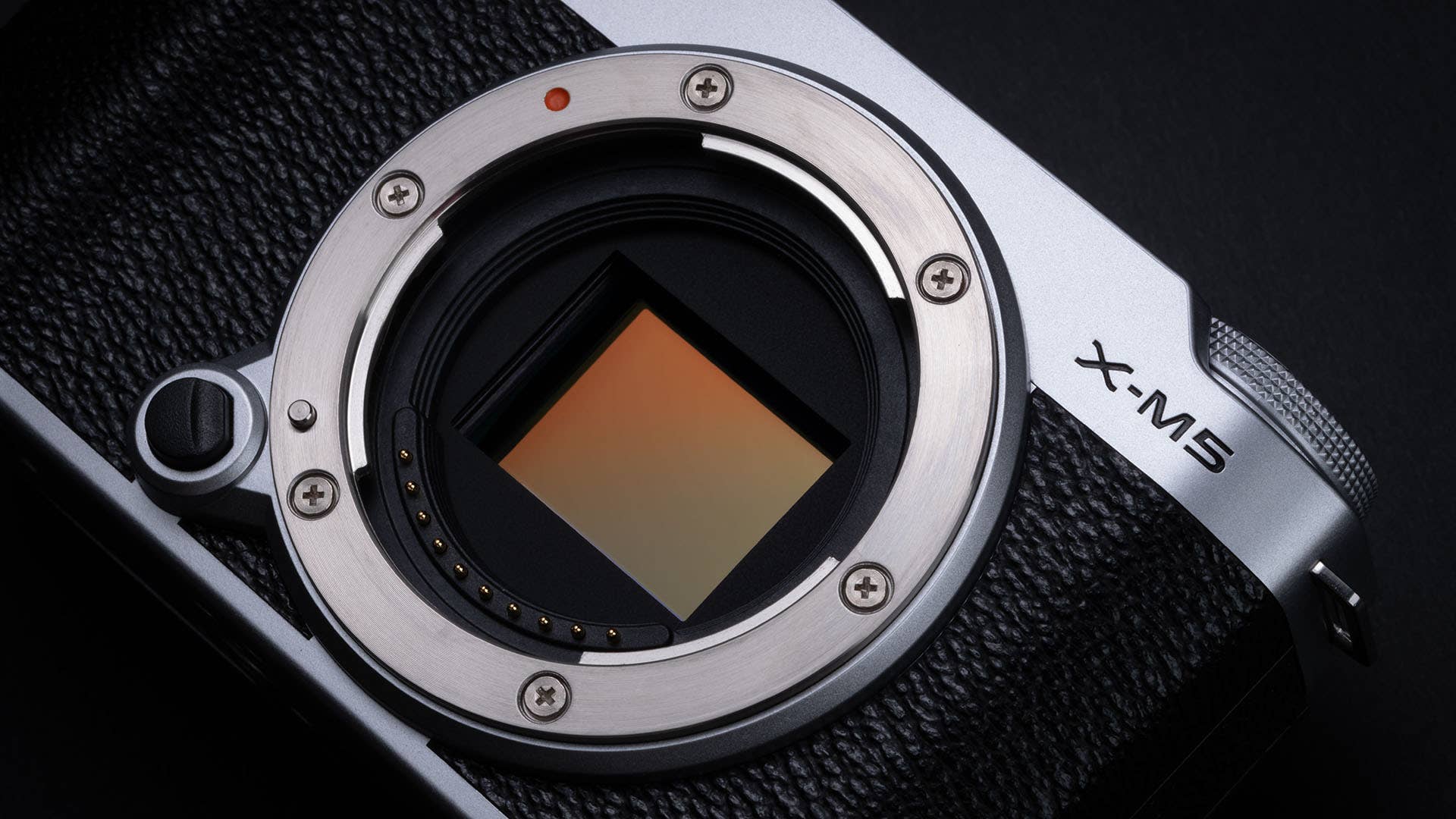 Fujifilm X-M5 + 15-45mm - Image 5